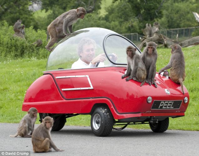 Ӣ���οͼ����ݳ����Ա�Ϯ��