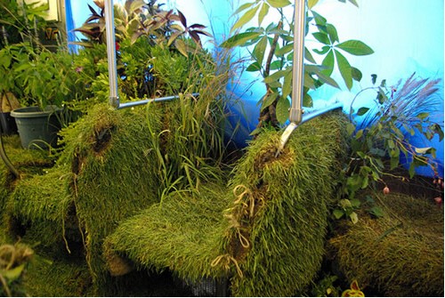 ��Ȥ���֣��г��ϵ��ƶ���԰ ���������ͼ��