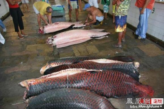 ������������� �������ޱ�_����Ȥ��