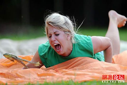 �̵㲻������ı�Ц���� ��Ц��ͼ