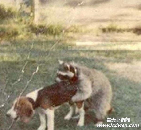 �����İ��ĳ��ͳ��� ǿ����������ͼ�̵�(��ͼ)