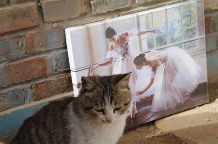 ��������˼�ġ�ɫ�顱��Ƭ ������������������