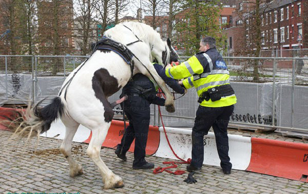 ���ÿ���ͻȻ���𾹵���¶��ǹǿ�����ﾯ(ʵ��������ͼ)