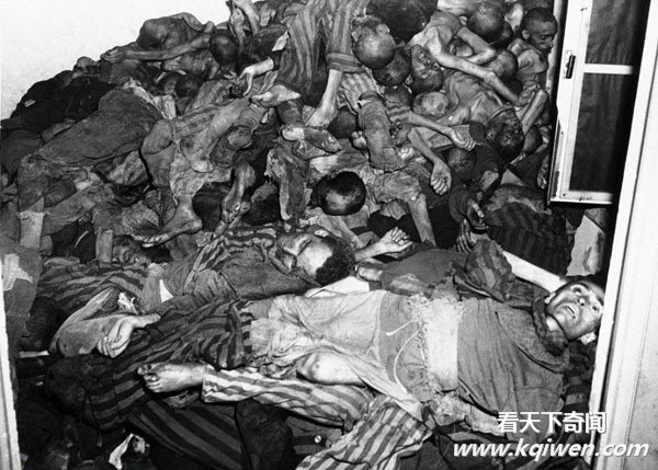 �ҿ���սʱ�¹��ɴ����˷�ָ�ı��� ����Ӫʬ����(��ͼ)